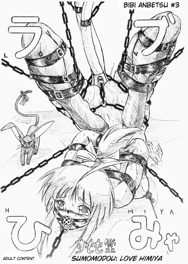 Bibi Anbetsu 03 cover