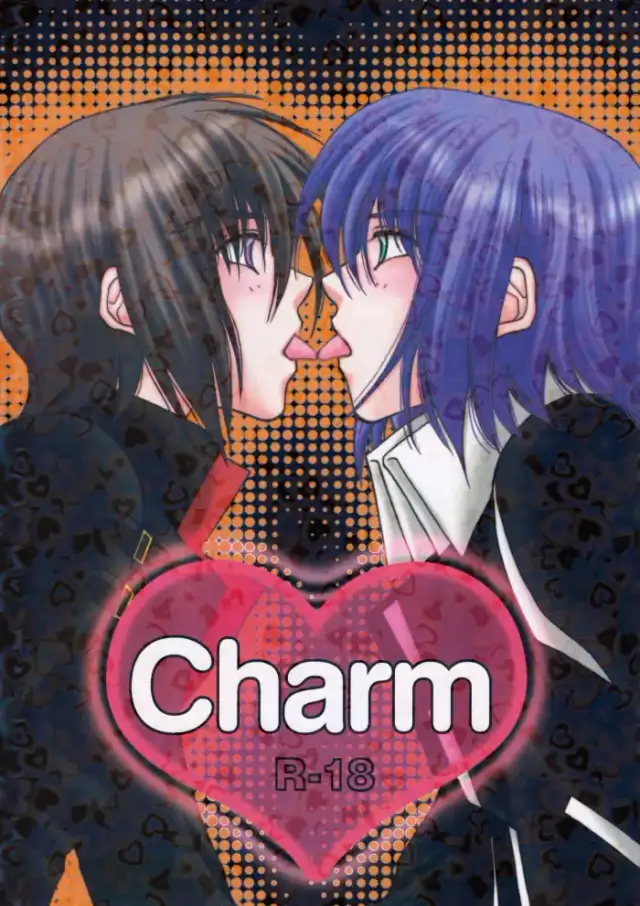 Charm cover
