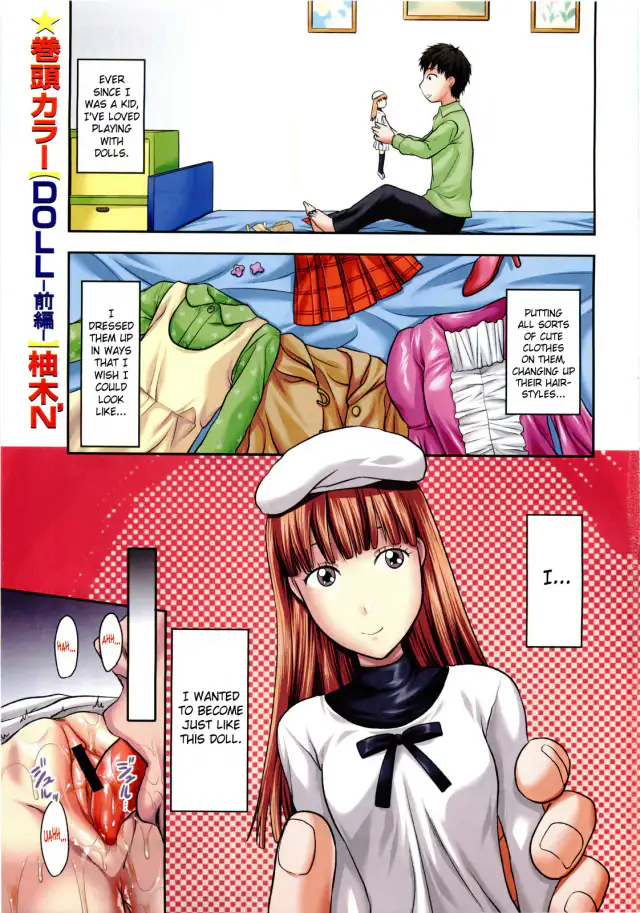 Doll cover