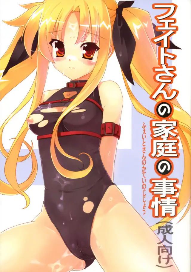 Fate-san no Katei no Jijou | Fate-san's Family Circumstances cover