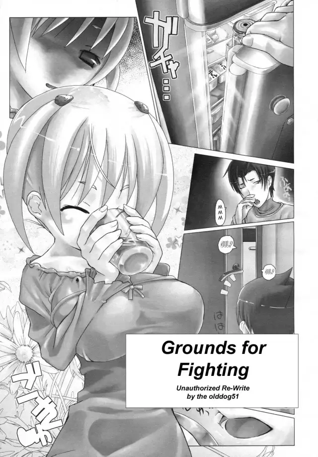 Grounds for Fighting cover