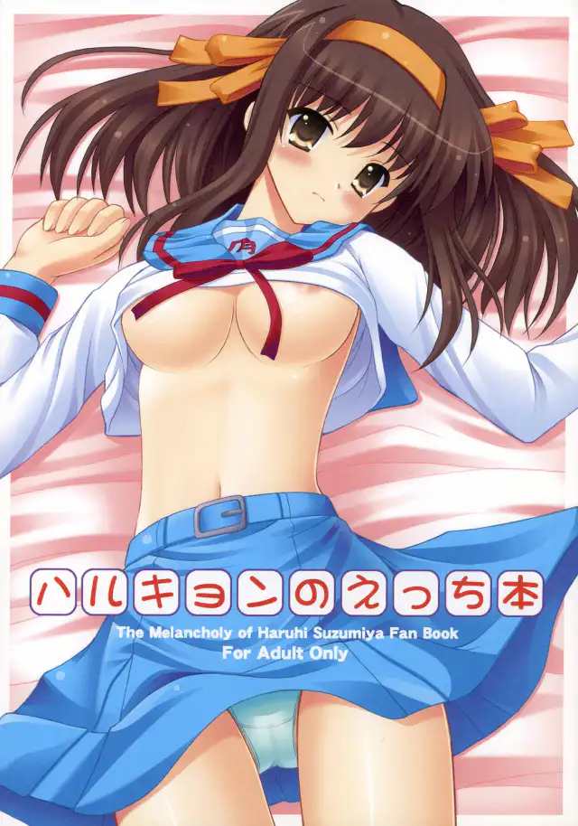 Harukyon no Ecchi Hon cover