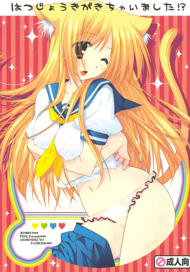 Hatsujouki ga Kichaimashita !? cover