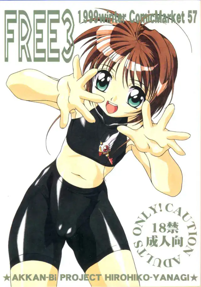 Hirohiko Yanagi - Free3 cover