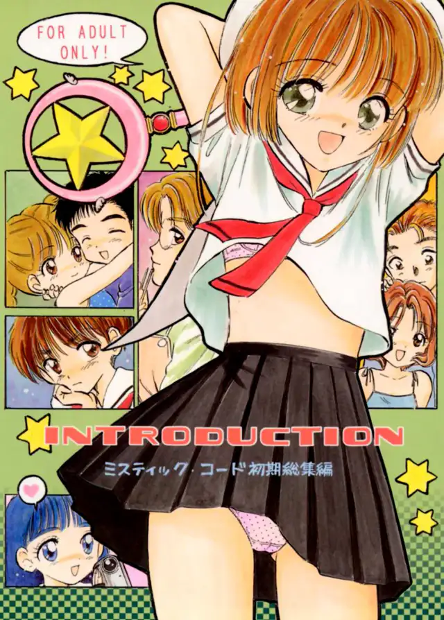 INTRODUCTION cover