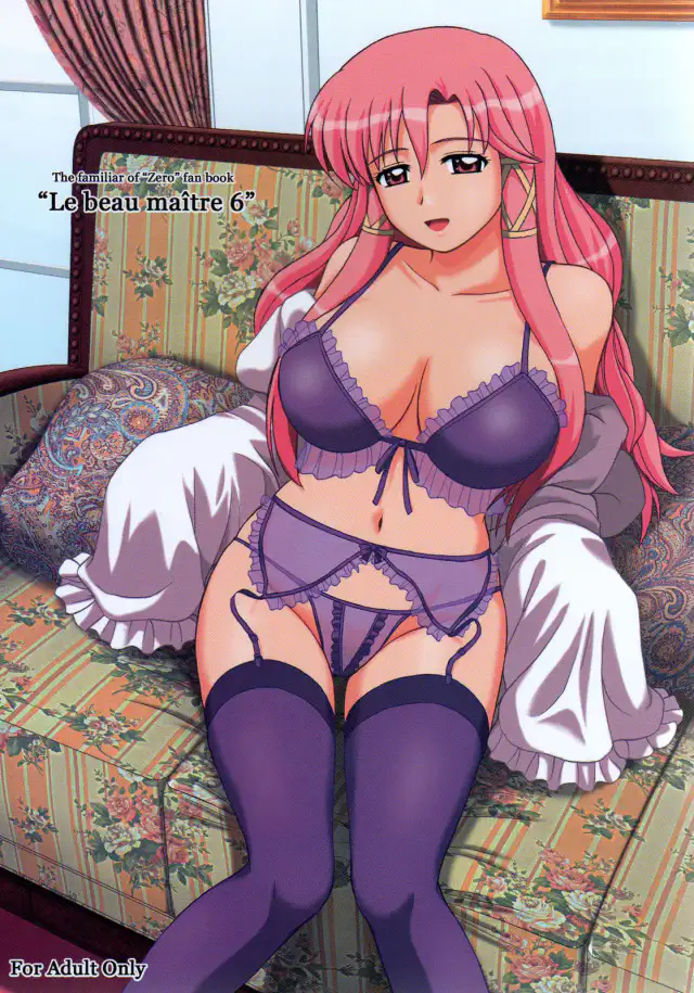 Le beau maitre 6 cover