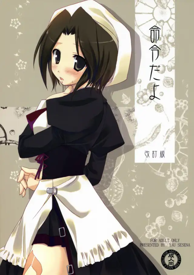 Meirei Dayo cover