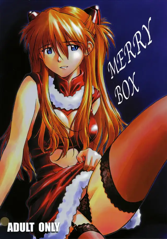 MERRY BOX cover