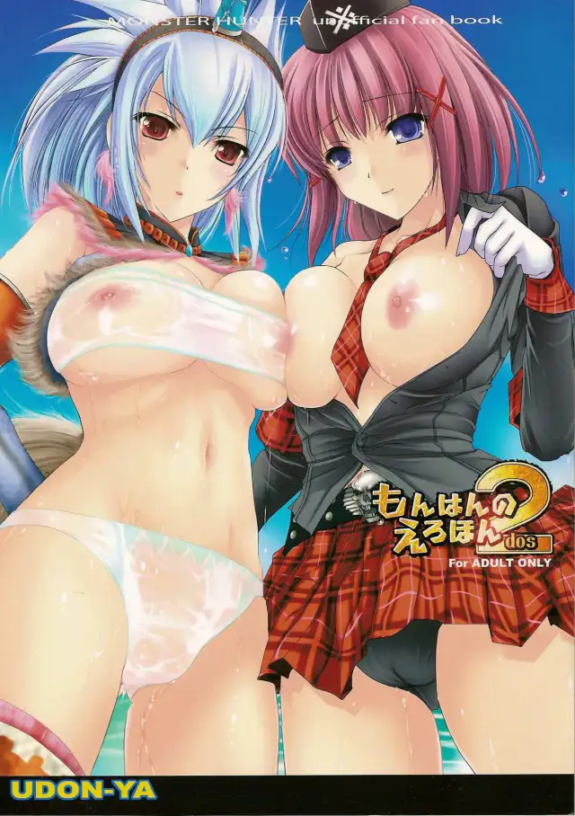 Monhan no Erohon 2 dos cover