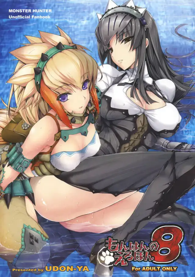 Monhan no Erohon 8 cover