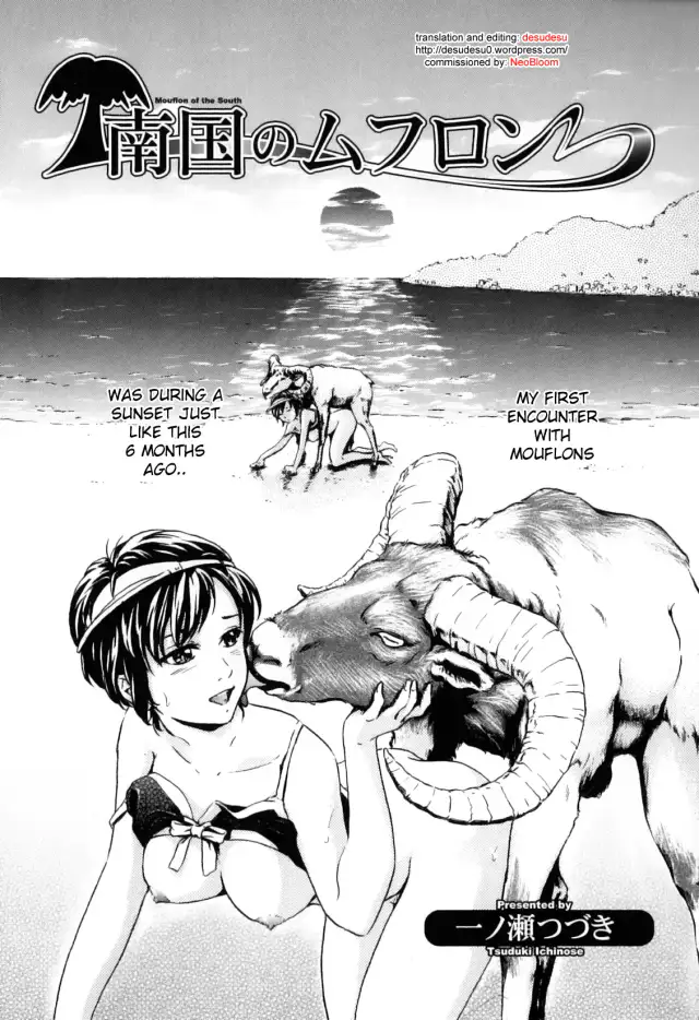Nangoku no Mouflon | Mouflon of the South cover