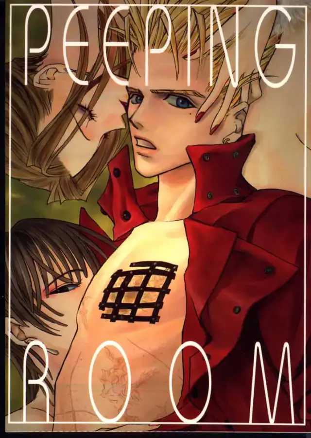Peeping Room cover