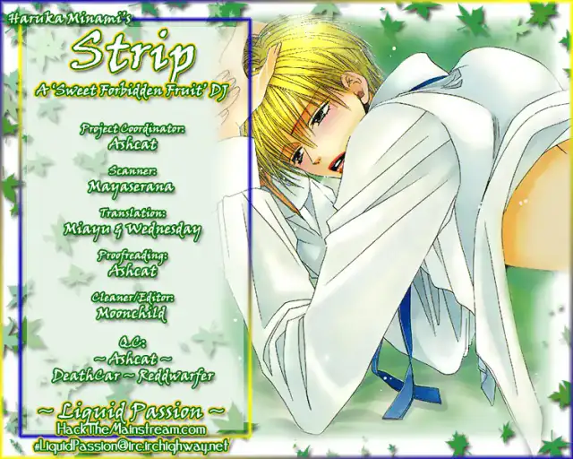 Strip_ cover