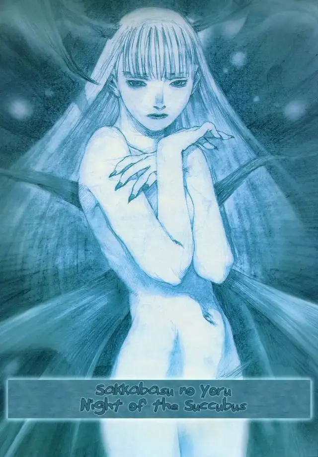 Succubus no Yoru | Night of the Succubus cover