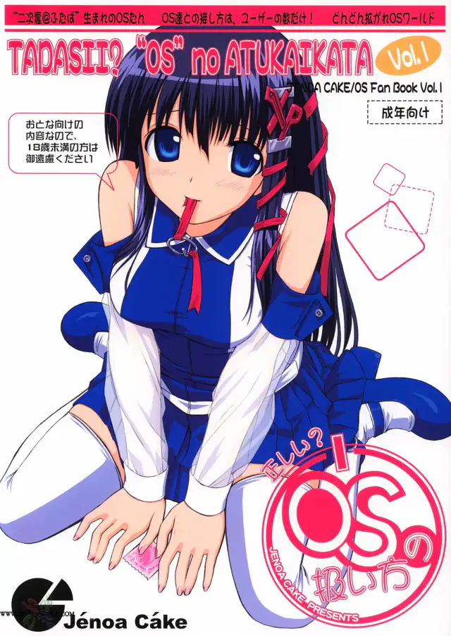Tadashii? OS no Atsukaikata 1 cover