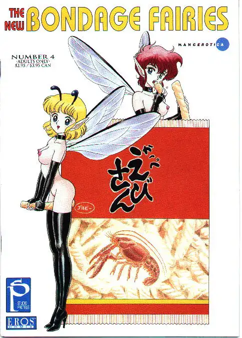 The New Bondage Fairies 04 cover