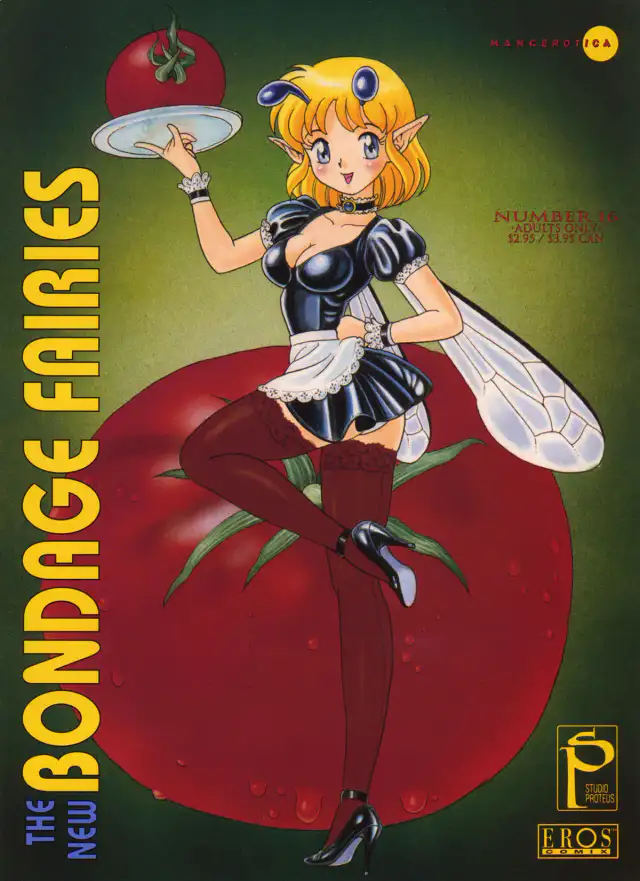 The New Bondage Fairies Issue 16 cover
