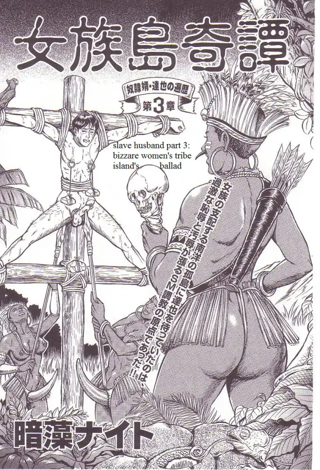 The Slave Husband 3: Bizarre Women's Tribe Island's Ballad cover