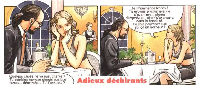 Adieux déchirants cover