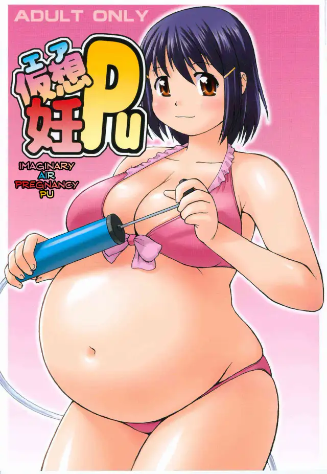 Air NinPu cover