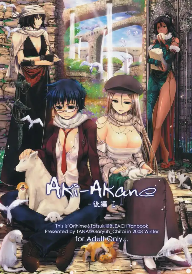 Aki-Akane -Kouhen 1- | Aki-Akane -Secuela 1 cover