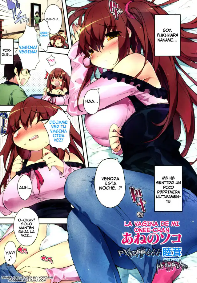 Ane no Soko | La Vagina de mi Onee-chan =P666HF= cover