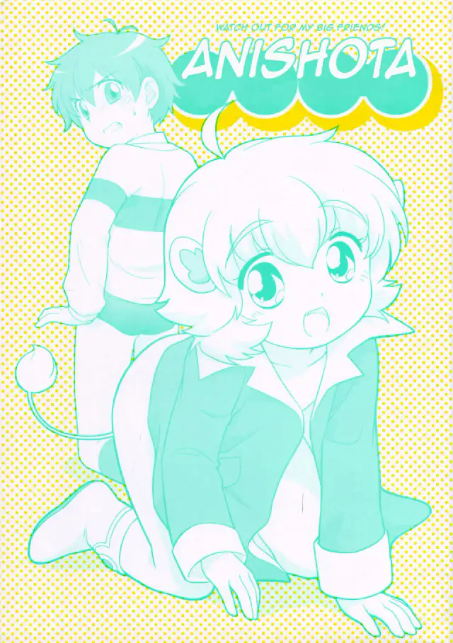 Anishota cover