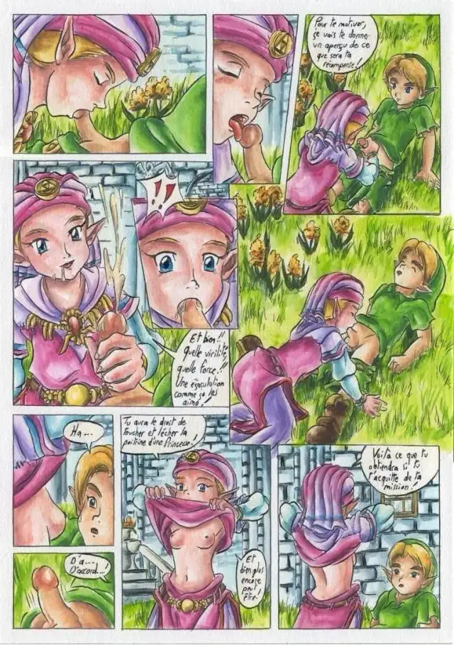 Bad Zelda cover