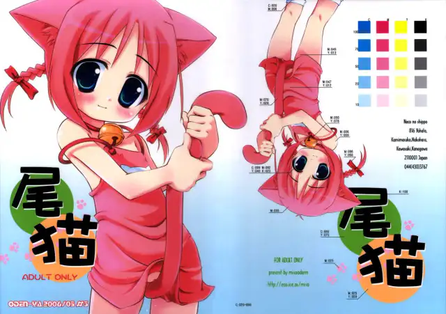 Bineko cover