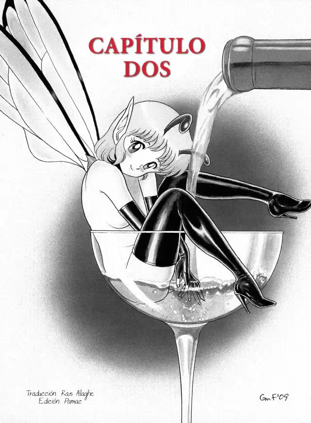 Bondage Fairies The Original Cap. 02 cover