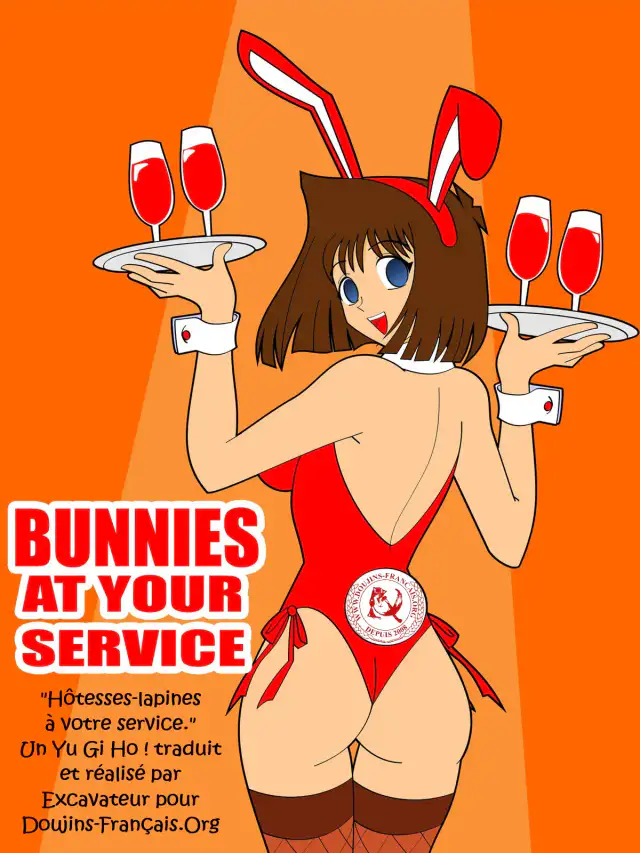 Bunnies At Your Service cover