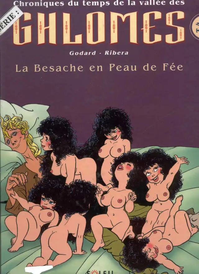 Chroniques du temps de la vallée des Ghlomes - T4 cover