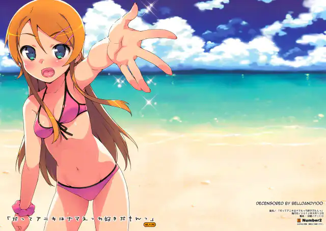 Datte Aniki wa Nama Ecchi Suki damon cover