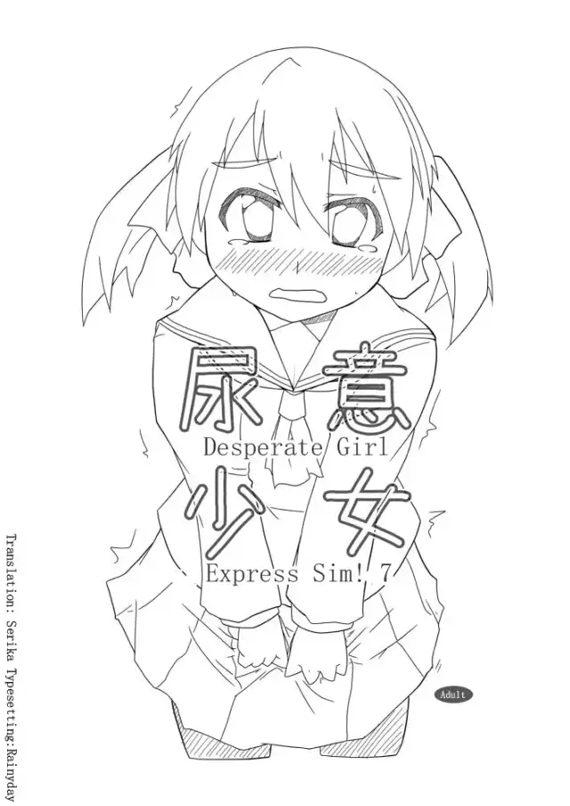 Desperate Girl Express Sim! 7 cover