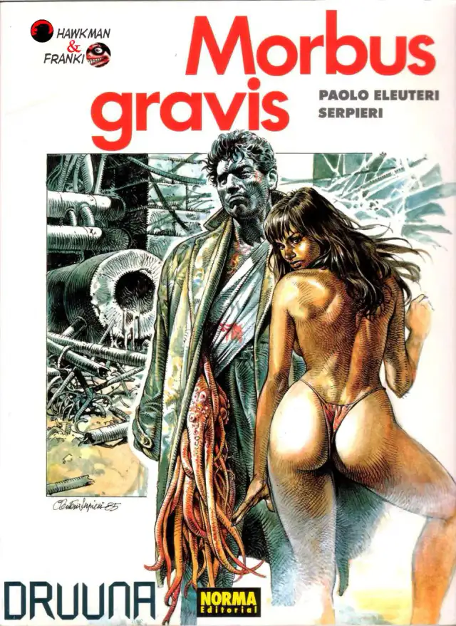 Druuna 1 - Morbus Gravis cover