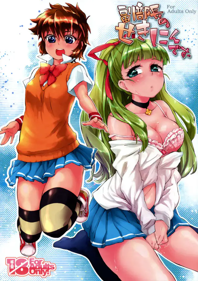 Fukubuchou no Sekinindesu | It's the Vice President's Responsibility! cover