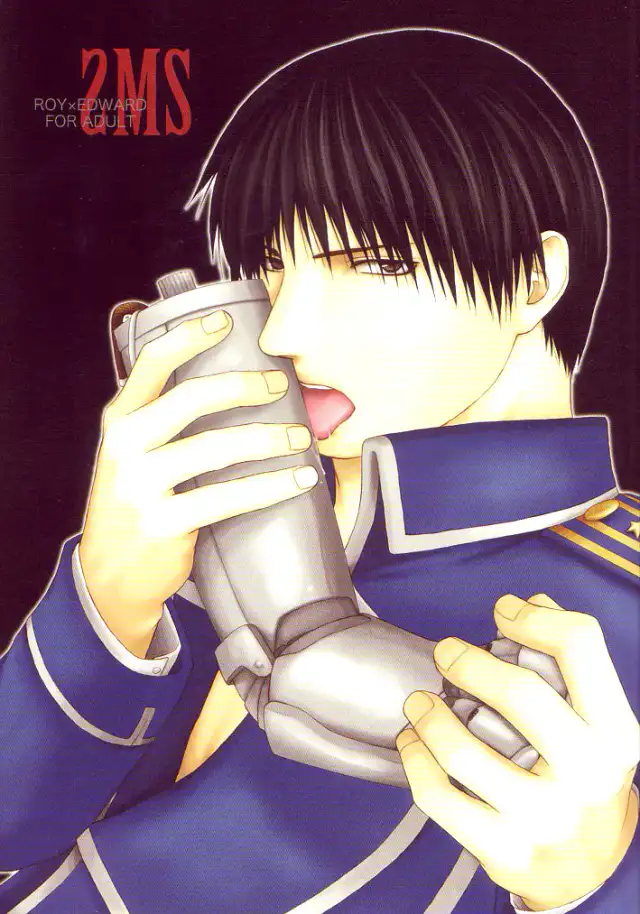 FullMetal Alchemist Yaoi cover