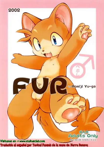 FUR cover