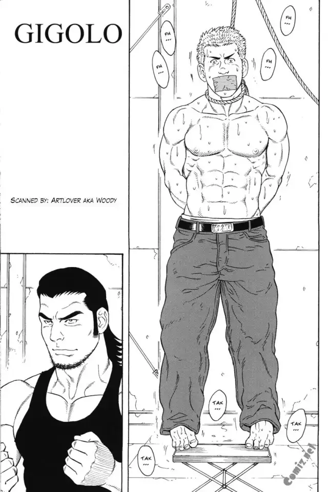 Gigolo cover
