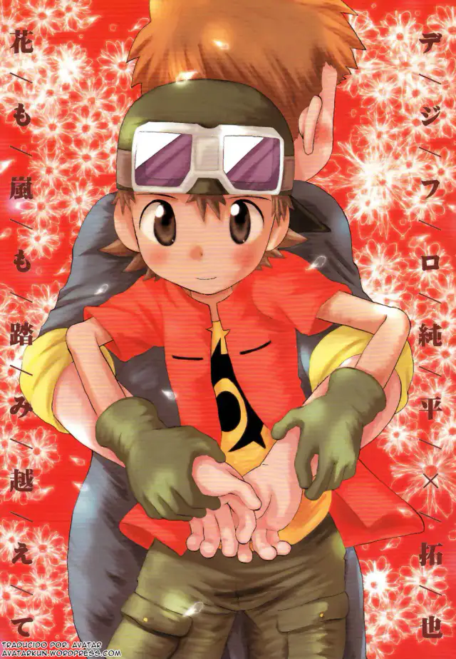 Hana mo Arashi mo Fumikoete cover
