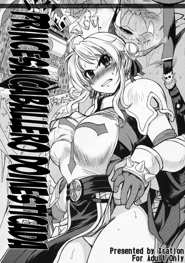 Hime Kishi Tame | Princesa Caballero Domesticada cover