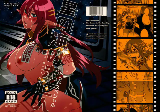 Hoshi no Umi no Miboujin - The Widow of The Star Ocean cover