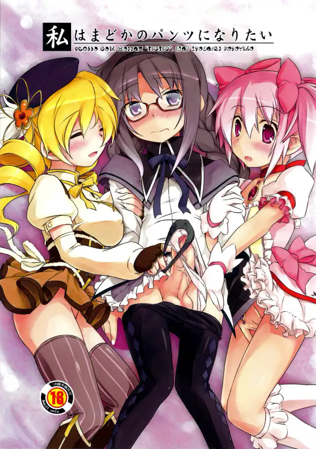 I Want to Become Madoka's Panties! cover
