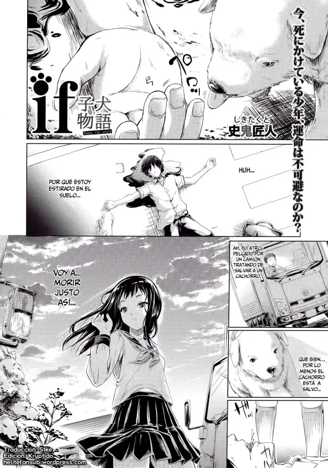 IF  | IF cover