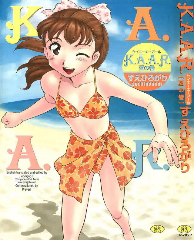 K.A.A.R. 2 - Summer Story cover