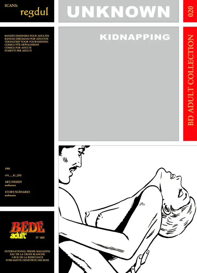 Kidnapping cover
