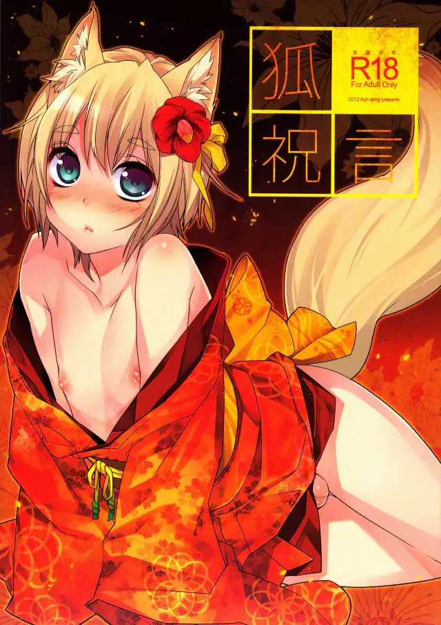 Kitsune Shuugen =P666HF= cover