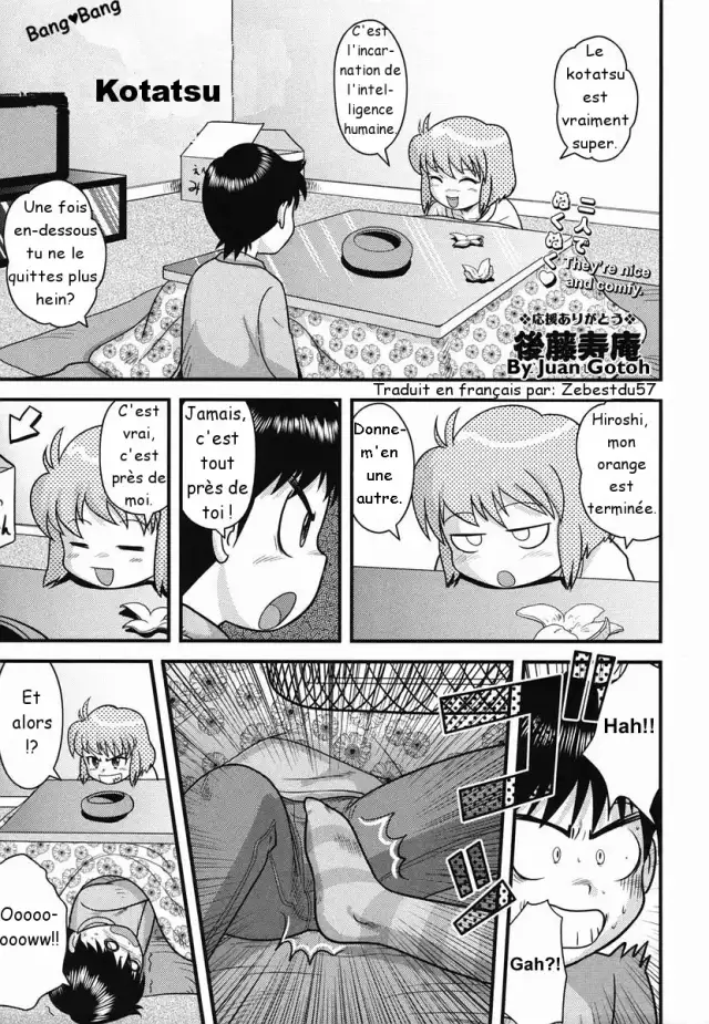 Kotatsu cover