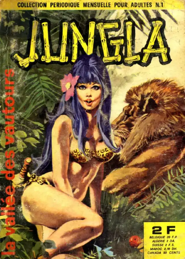 La vallée des vautours cover