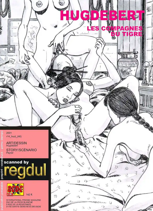 Les compagnes du tigre cover